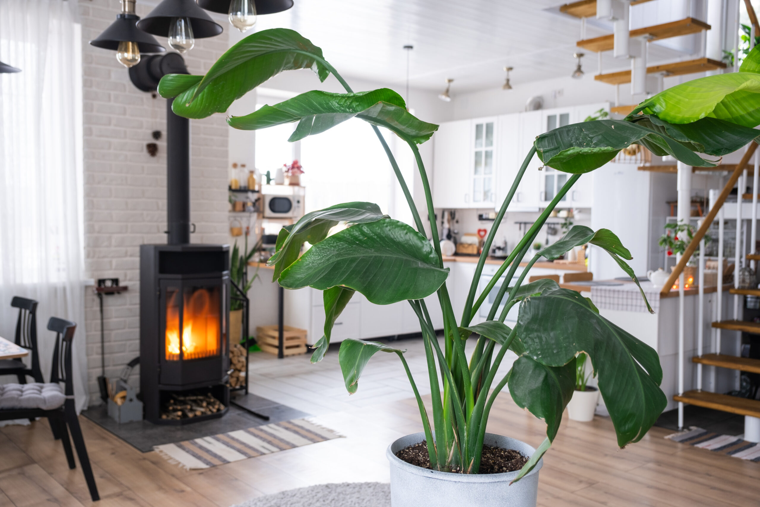The Art of Warm Living